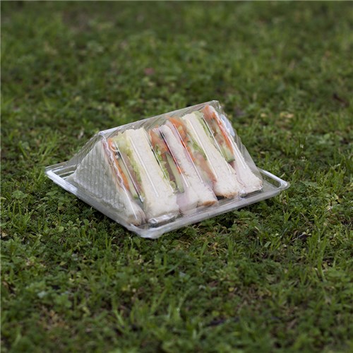 Plastic Four Point Sandwich Wedge Clear Envirochoice